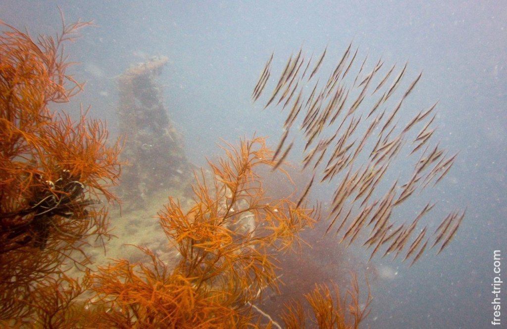 Sunken vessel. Tongkat Island, Philippines