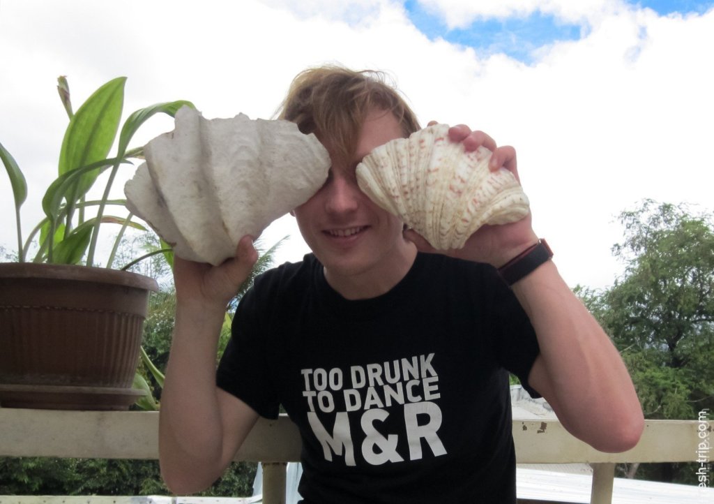 Seashells, Philippines