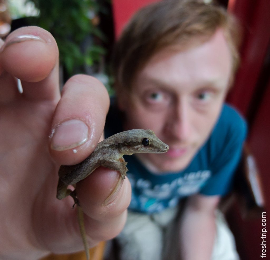 Me and gecko, El Nido, Philippines