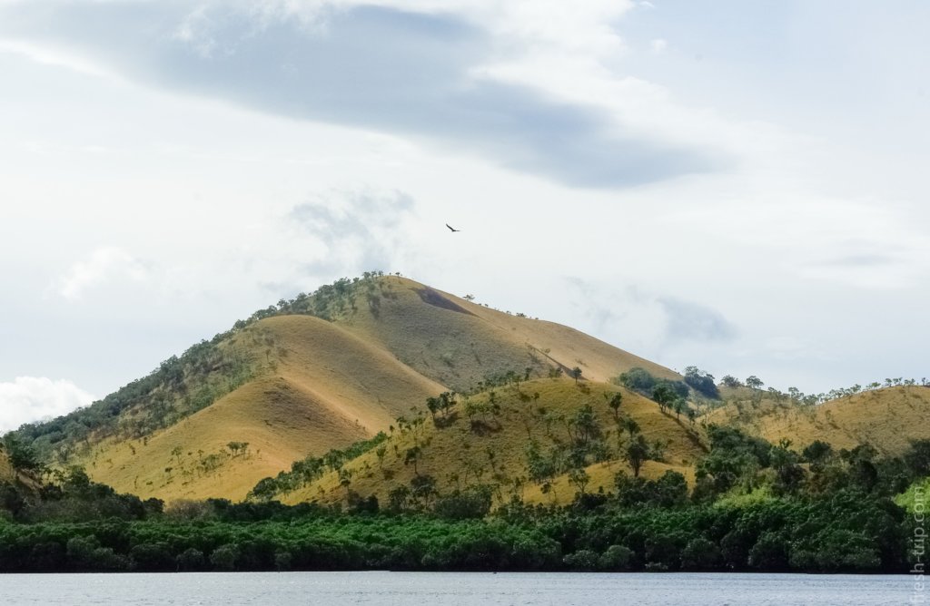 Hills, Busuanga Island, Philippines
