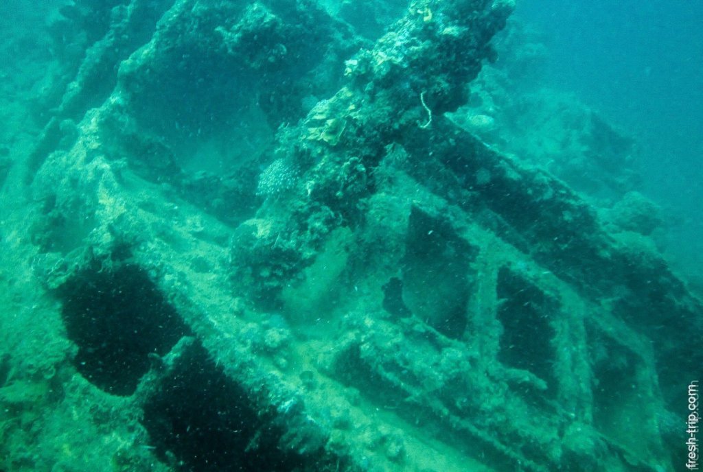 Ship Tangat Gunboat Wreck, Philippines