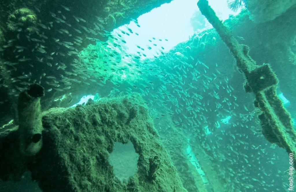Ship Tangat Gunboat Wreck, Philippines